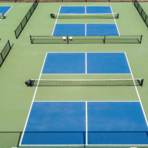 PICKLEBALL - ADVANCEMENT & WORKSHOPS