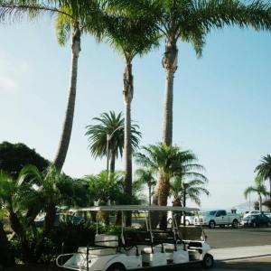 	Golfing - Leagues / Social Clubs