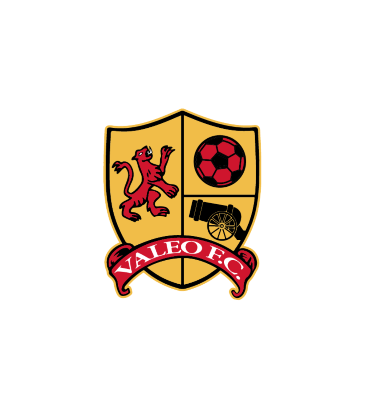Valeo Futbol Academy